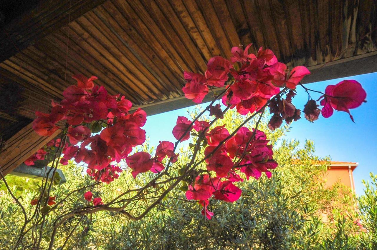 Villa Flamingo Dobra Voda Buitenkant foto